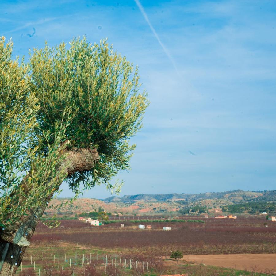 Cabezo Bunuel Alojamiento Rural Calanda Exterior foto